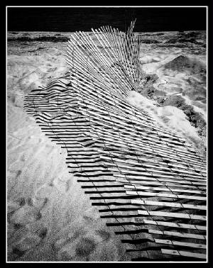 beach-fence-finale.jpg