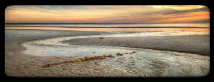 A trail of stones beckons across a tidal pool.