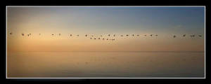 sunset-flight.jpg