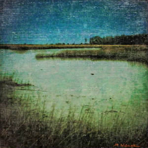 flax-pond-dusk.jpg